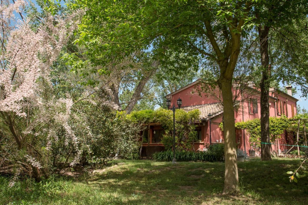 Bed and Breakfast Ca' Barbona à Lido di Classe Extérieur photo