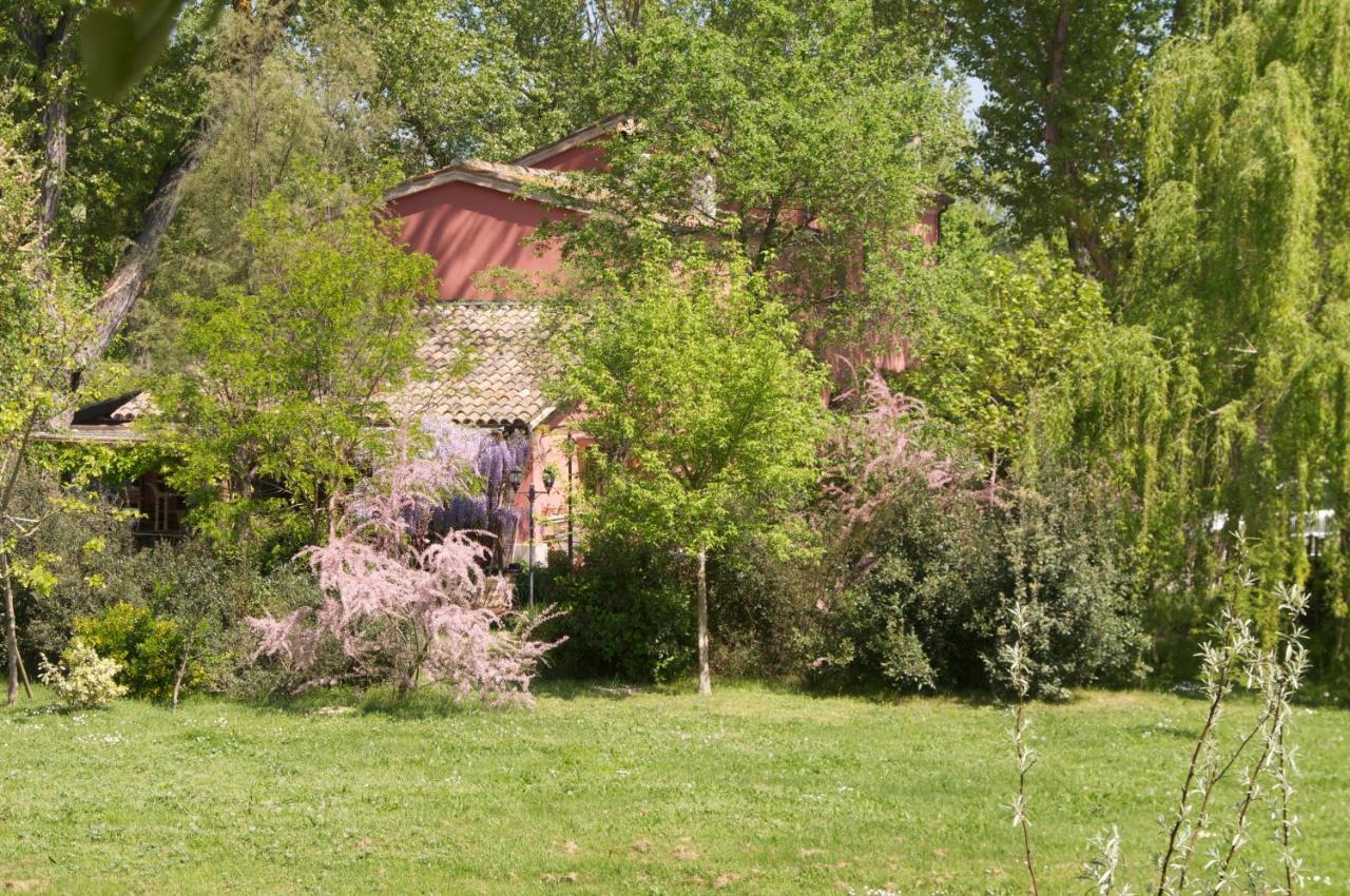 Bed and Breakfast Ca' Barbona à Lido di Classe Extérieur photo